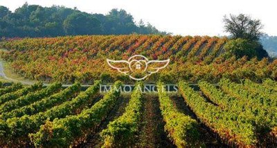 1 - Narbonne, Maison