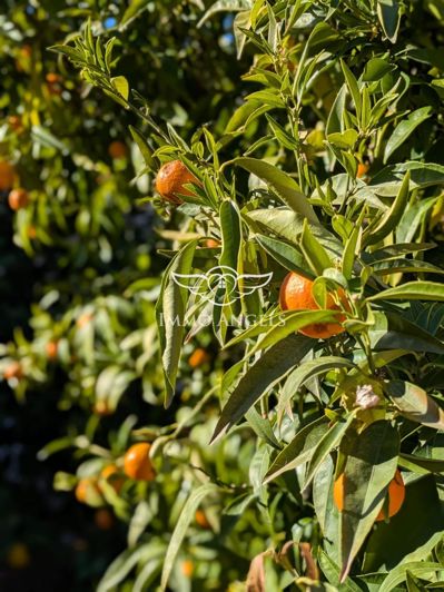 Image No.11-Maison de 3 chambres à vendre à Béziers