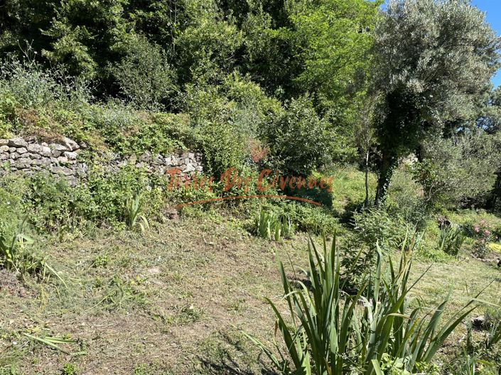 Image No.14-4 Bed House for sale