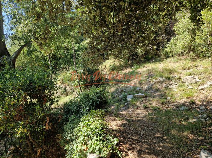 Image No.16-3 Bed House for sale