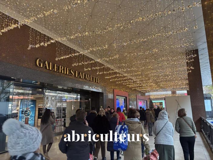 Image No.2-Property for sale