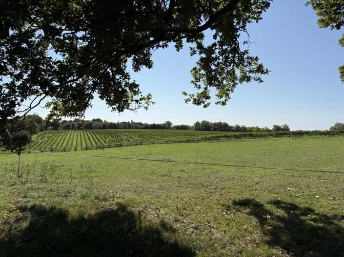 Image No.24-Maison de 7 chambres à vendre à Gabarret