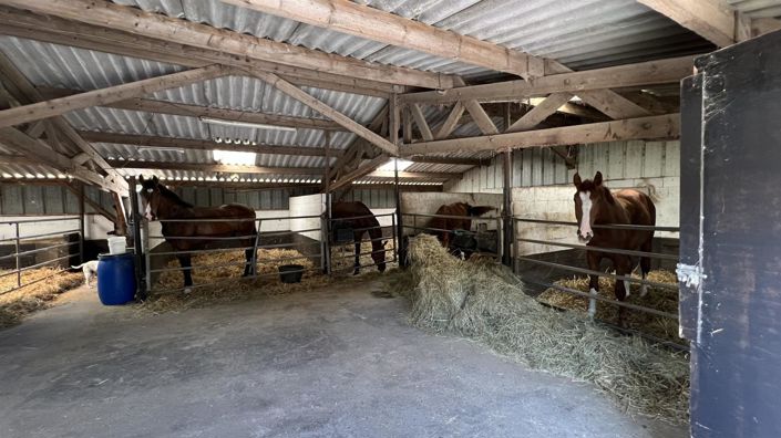 Image No.18-Maison de 7 chambres à vendre à Daméraucourt