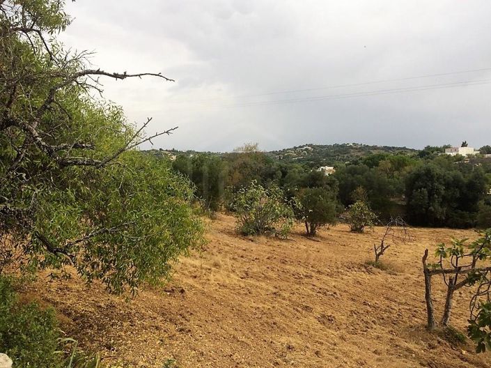 Image No.16-House for sale