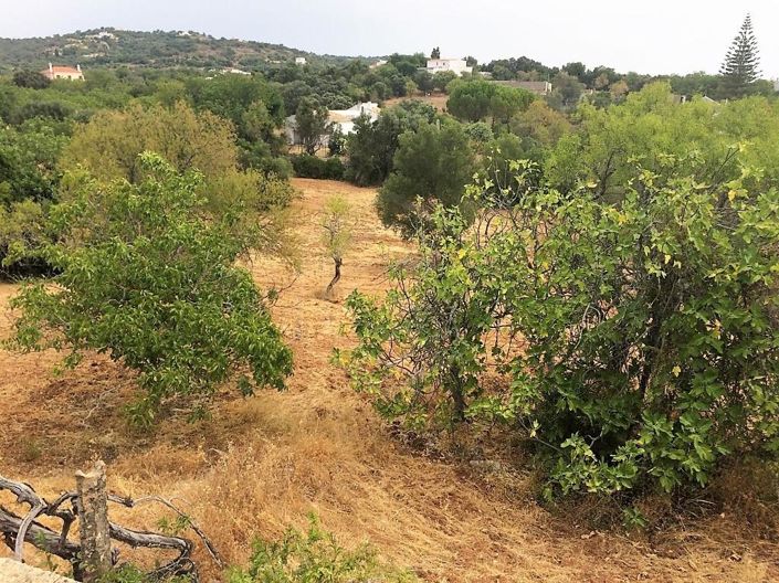 Image No.18-House for sale