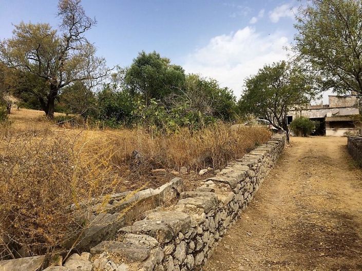 Image No.19-House for sale