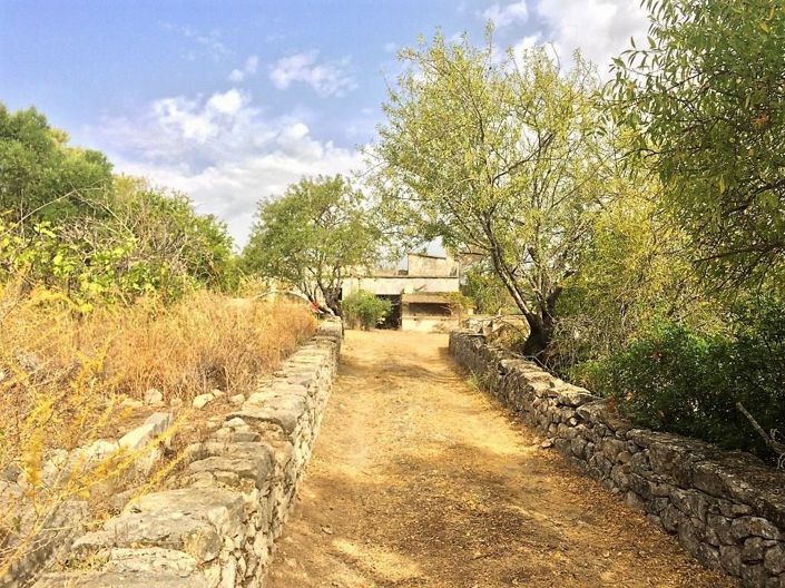 Image No.5-House for sale