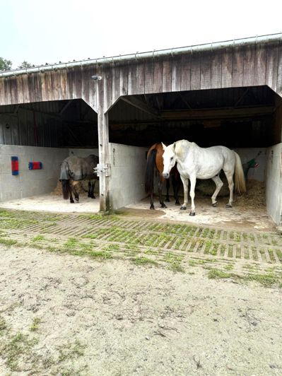 Image No.9-Maison de 4 chambres à vendre à Rennes