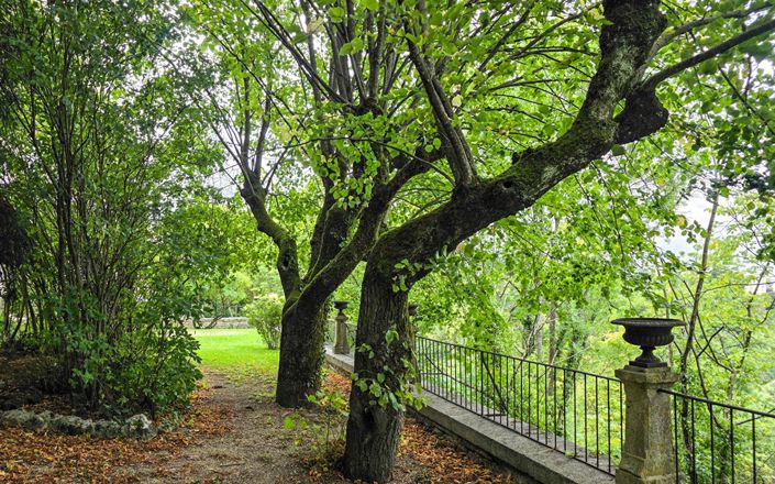 Image No.11-Propriété de 5 chambres à vendre à Chaumont