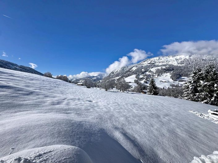 Image No.3-3 Bed House for sale