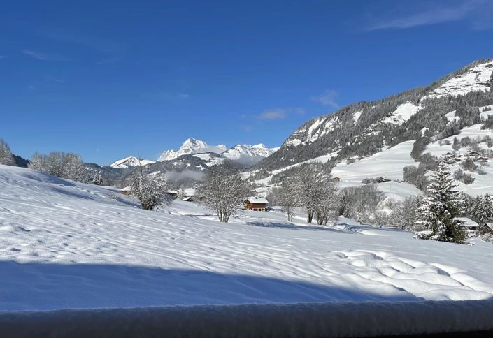 Image No.3-Maison de 3 chambres à vendre à Praz-sur-Arly