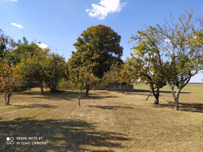 Image No.4-Maison de 5 chambres à vendre à Coivert