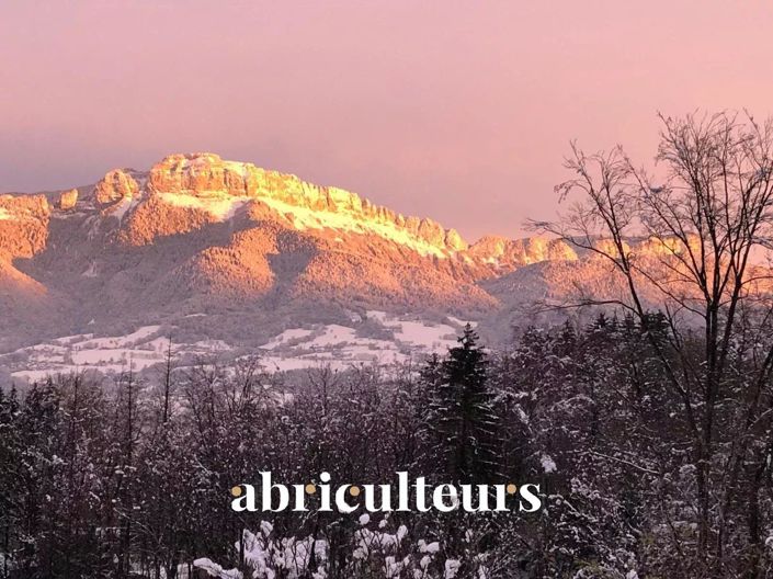 Image No.17-8 Bed House for sale