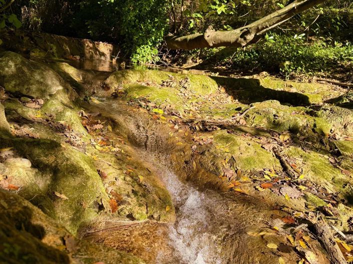 Image No.12-Maison de 8 chambres à vendre à Fayence