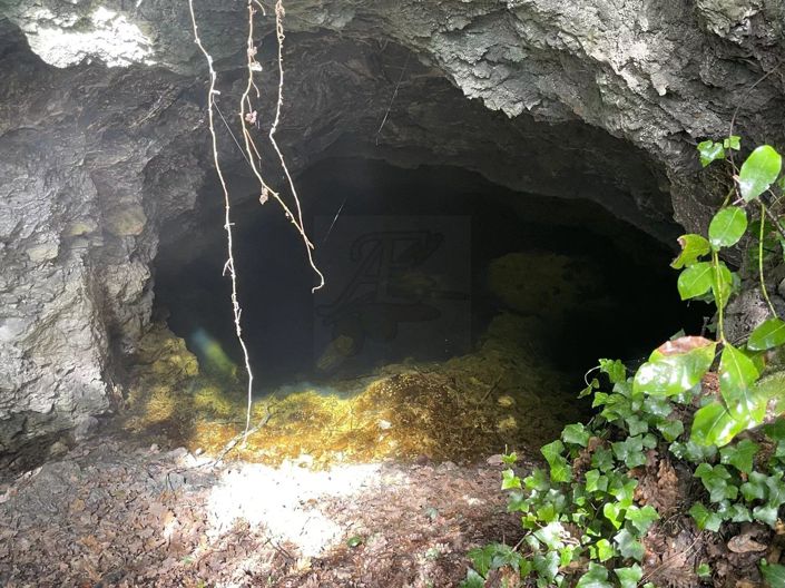 Image No.13-Maison de 8 chambres à vendre à Fayence