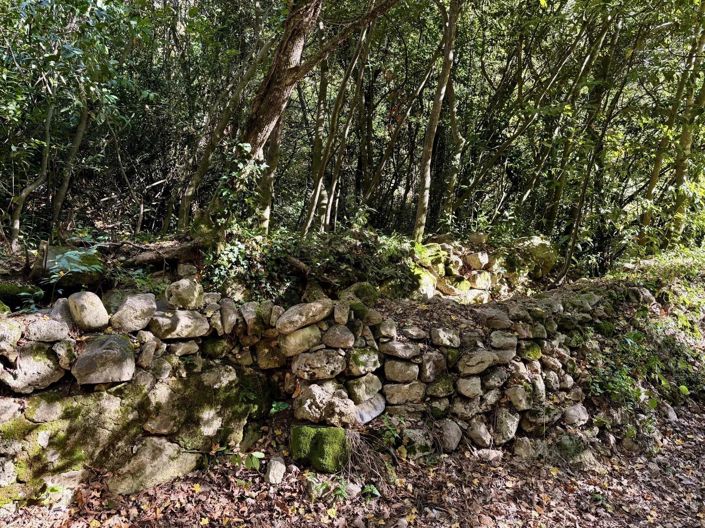 Image No.37-8 Bed House for sale