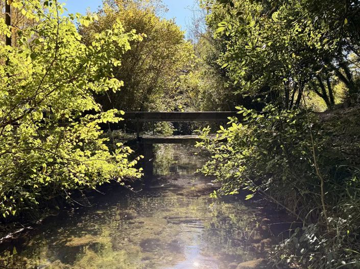 Image No.4-Maison de 8 chambres à vendre à Fayence