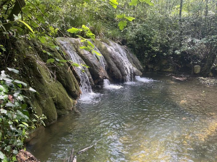 Image No.5-Maison de 8 chambres à vendre à Fayence