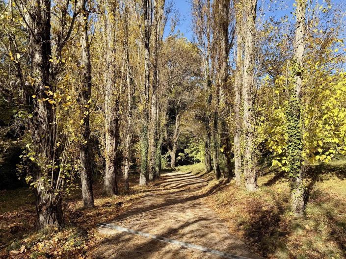 Image No.9-8 Bed House for sale