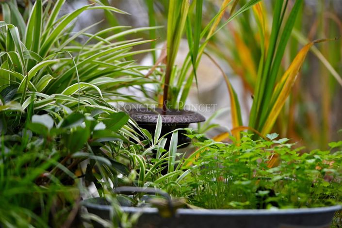 Image No.22-5 Bed House for sale