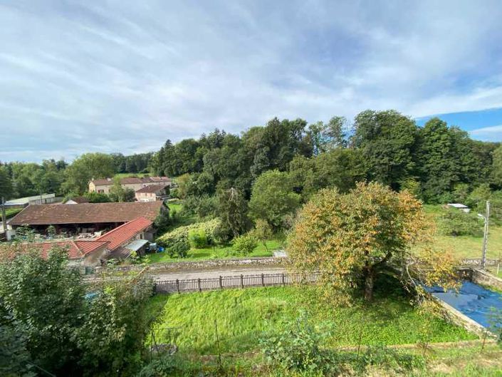 Image No.36-Maison de 6 chambres à vendre à Vosges