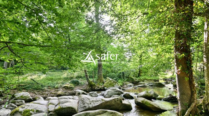 Image No.8-Maison de 8 chambres à vendre à Messimy