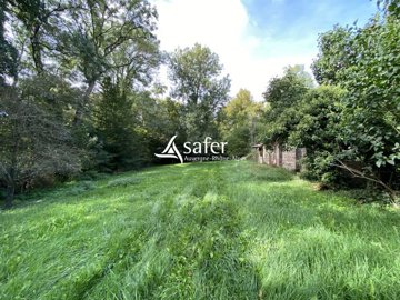amnlfun1cfxvg2489