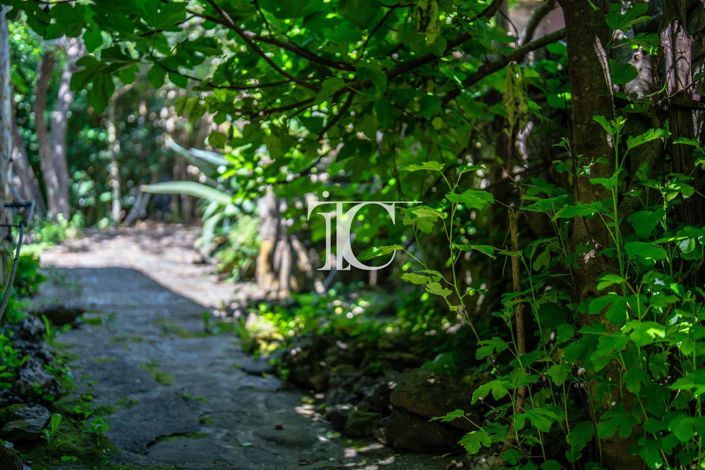Image No.12-Maison de 3 chambres à vendre à Saint-Paul-le-Jeune
