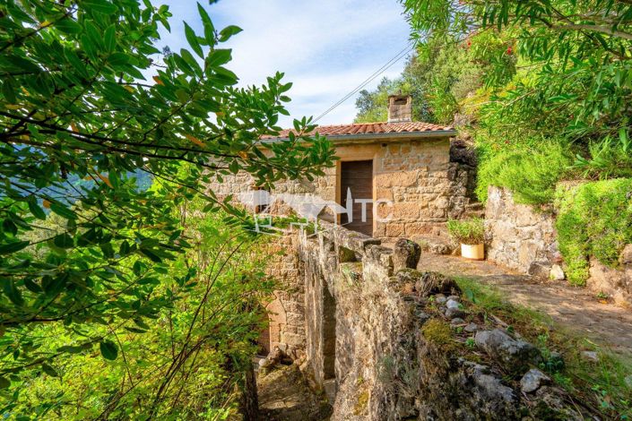 Image No.19-3 Bed House for sale