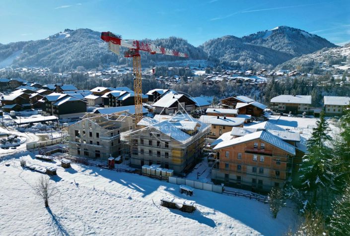 Image No.3-Propriété à vendre à Montriond