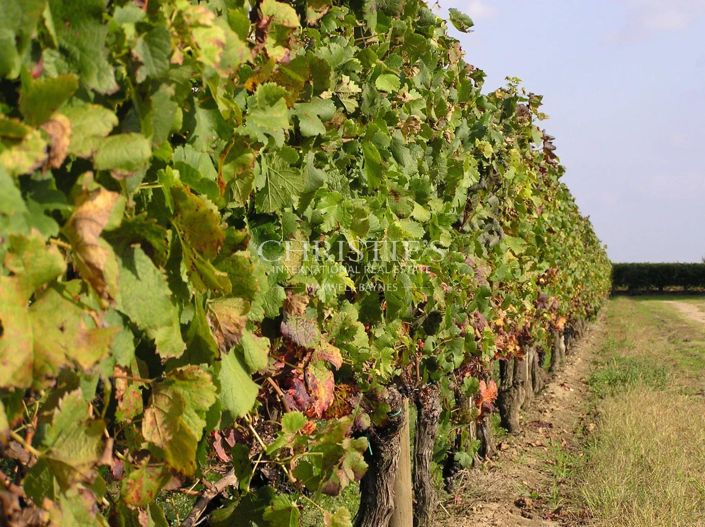 Image No.2-Maison à vendre à Saint-Emilion