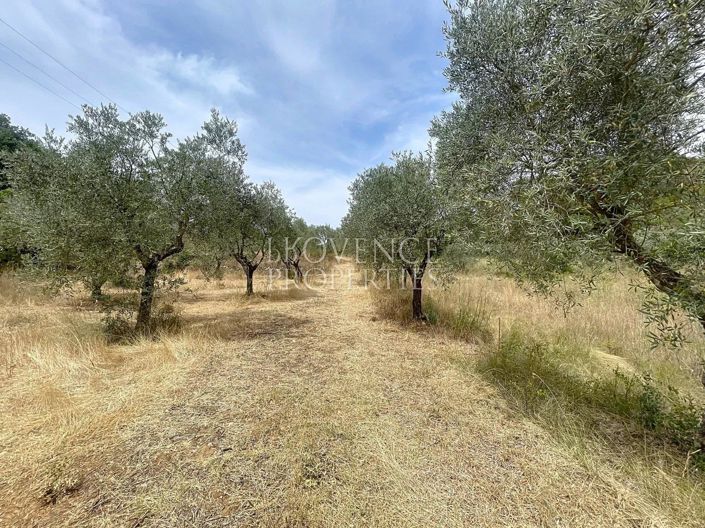 Image No.12-9 Bed House for sale