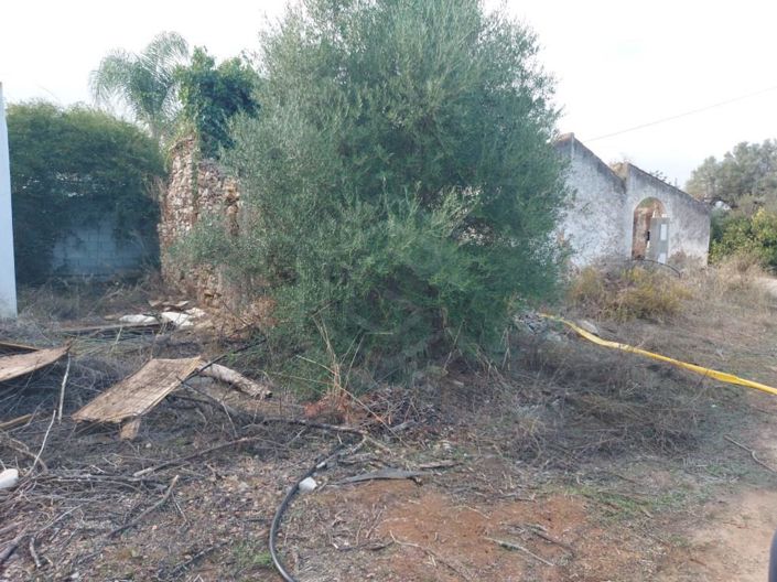 Image No.11-3 Bed House for sale