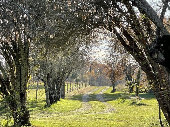 Image No.2-Maison de 6 chambres à vendre à Fourcès