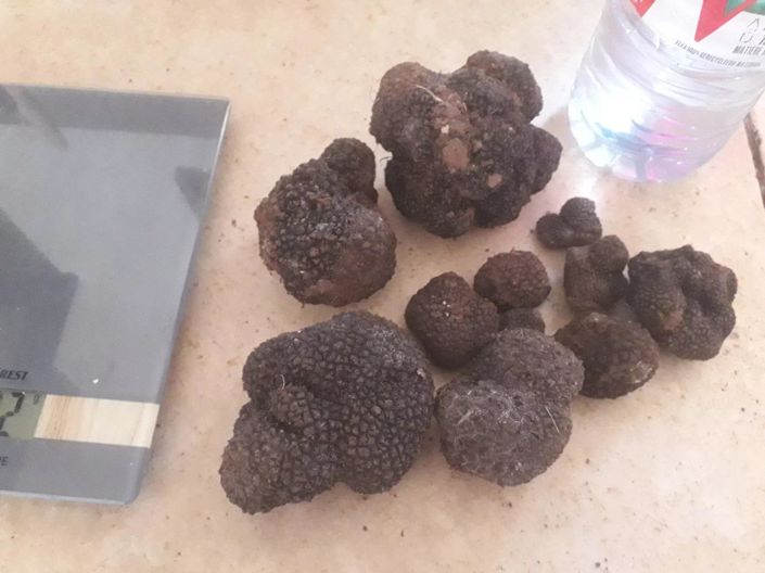 Image No.24-House for sale