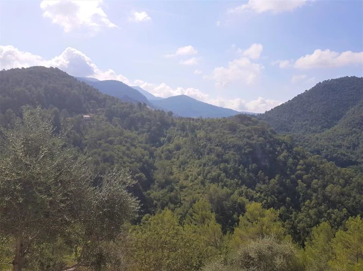 Image No.5-3 Bed House for sale