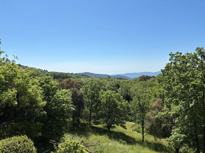 Image No.19-4 Bed House for sale