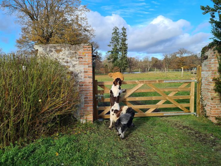 Image No.21-5 Bed House for sale