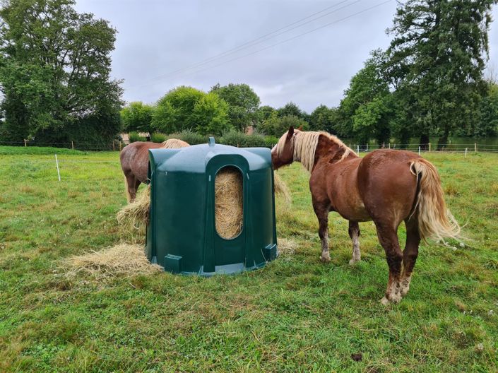 Image No.24-5 Bed House for sale