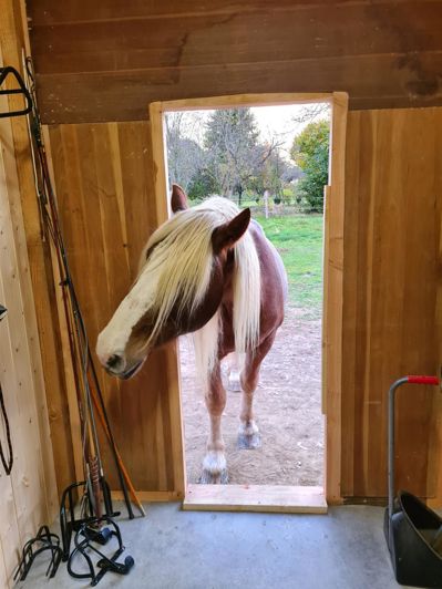 Image No.27-5 Bed House for sale