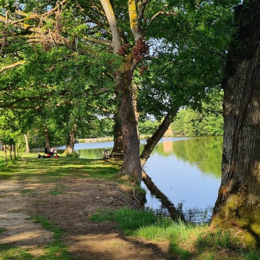 Image No.30-5 Bed House for sale