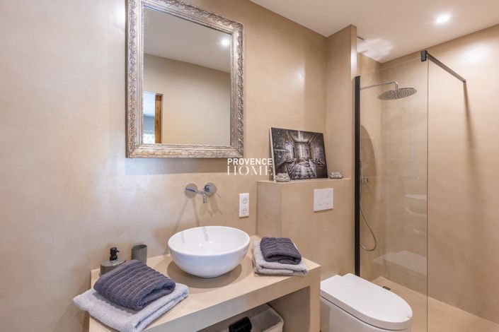 Image No.17-Maison de 4 chambres à vendre à Roussillon