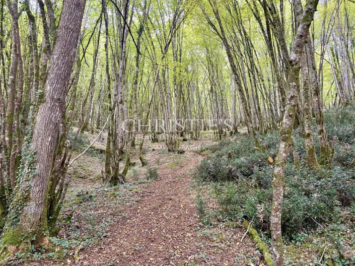 Image No.23-3 Bed House for sale