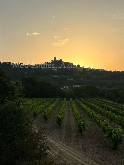 Image No.18-3 Bed House for sale