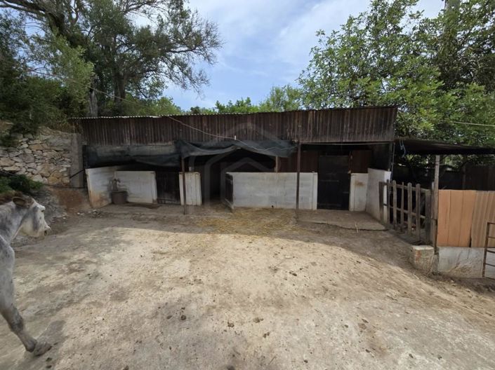 Image No.24-2 Bed House for sale