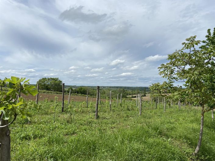 Image No.24-5 Bed House for sale