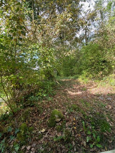 Image No.19-Maison de 4 chambres à vendre à Lacapelle-Biron
