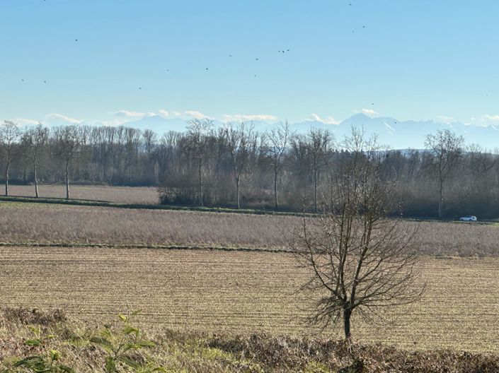 Image No.16-2 Bed House for sale