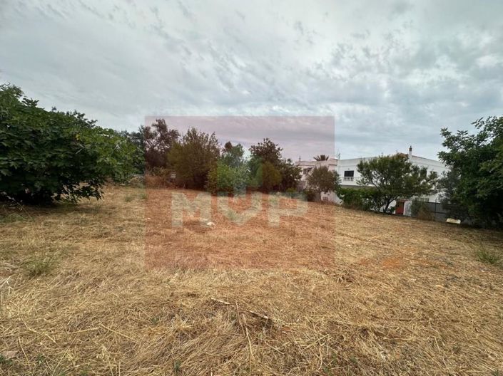 Image No.3-8 Bed House for sale