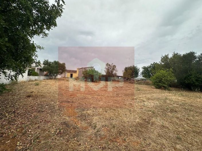 Image No.5-8 Bed House for sale